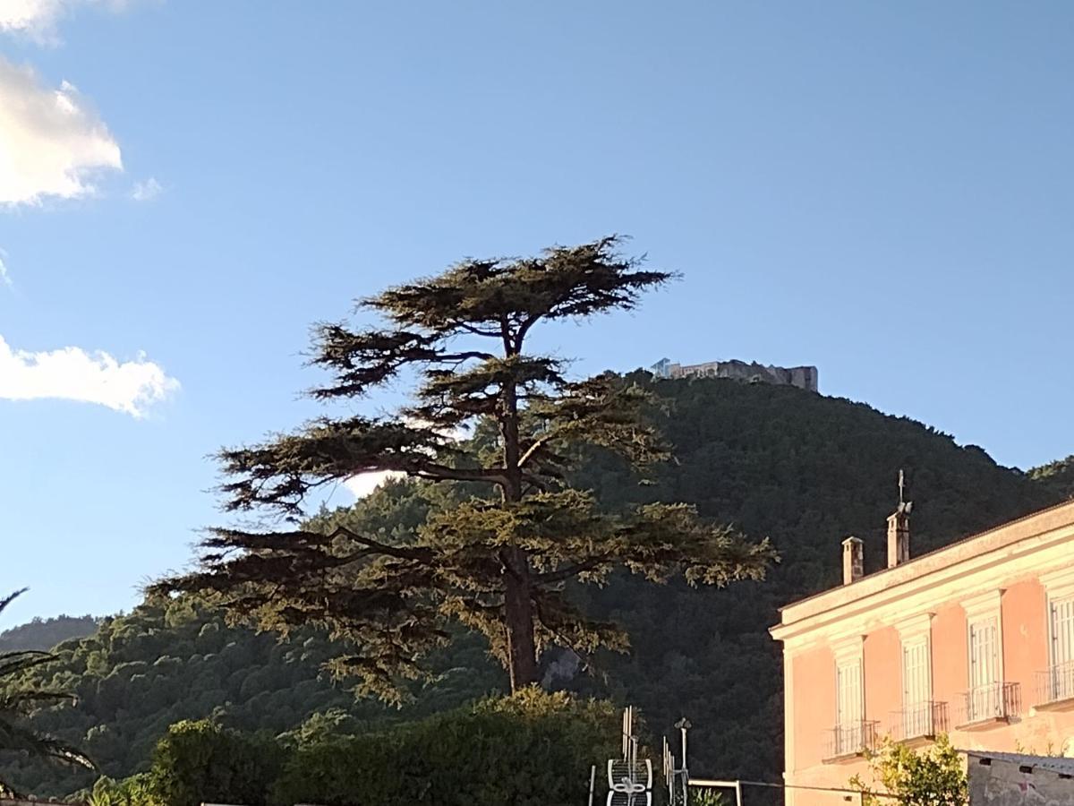 Appartamento Mare In Vista